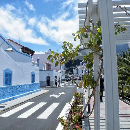 Daire Costa Agaete - Puerto De Nieves *